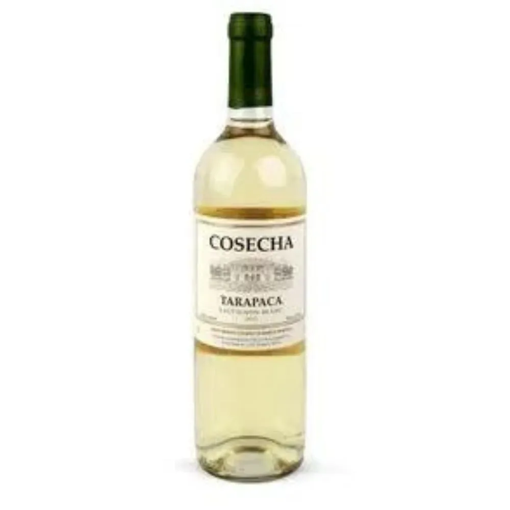 Vinho Chileno Tarapacá Cosecha Sauvignon Blanc 750ML 1 Vinho Chileno Tarapacá Cosecha Sauvignon Blanc 750ML